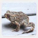 Search for toad stickers Animal
