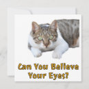 Recherche de miauler cartes postales Félin