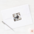 Search for tilt stickers Dog