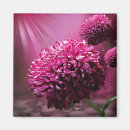 Search for water drop magnets Pink