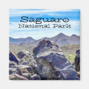 Search for saguaro magnets Tucson