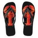 Search for lobster shoes Crustacean