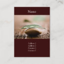 Recherche de équilibre cartes visite Zen