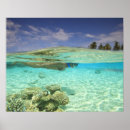 Search for shallow Snorkel