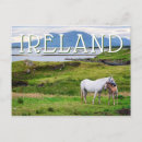 Recherche de galway vœux cartes Connemara