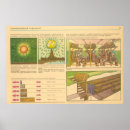 Recherche de propagande russe posters Histoire