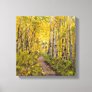 Search for aspen tree canvas prints Nature
