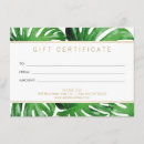 Recherche de bronzage cartes postales Tropical