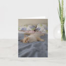 Search for top surgery cards Pets