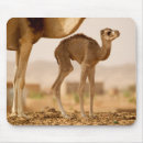 Search for hump mousepads Cute
