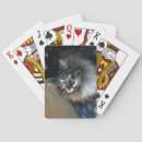 Recherche de crinière jeux de cartes Animaux