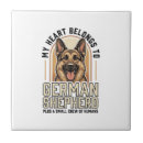 Recherche de chien de berger carreaux Amoureux des chiens