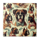 Recherche de boxer carreaux Chiot