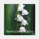 Search for lily of the valley gifts Botany