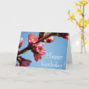 Recherche de cherry blossom birthday cards Fleurs de cerisiers