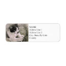 Search for splatter paint return address labels Abstract
