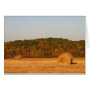 Search for bailing Hay