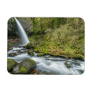 Search for rivers magnets Pacific northwest