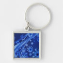 Search for winter season keychains Snow