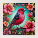 Recherche de oiseaux colorés puzzles Oiseau tropical