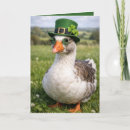 Search for ireland birthday cards St patrick's day