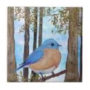 Search for blue wood tiles Kitchen