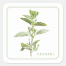 Search for oregano stickers Kitchen