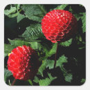 Recherche de pompons autocollants Pour tous