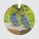 Search for swallow ornaments Nature