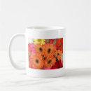 Search for african daisy mugs Flowers