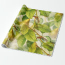 Recherche de poires papier cadeau Arbre