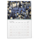 Search for penguins calendars Antarctica