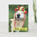 Search for golden retriever weddings Bride