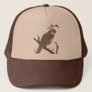 Search for red tail hats Bird