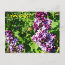 Search for bee lovers postcards Flowers