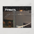 Search for pterodactyl postcards Dinosaur