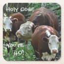 Recherche de vaches dessous de verres Drôle