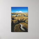 Recherche de altiplano posters Jour