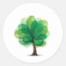 Recherche de écorces autocollants Vert
