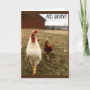 Search for funny farm birthday cards Photography
