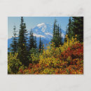 Search for medium format cards Landscape