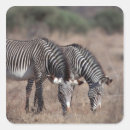 Search for outdoor lifestyle stickers Nature