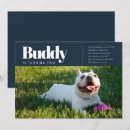 Search for dog photo invitations Puppy