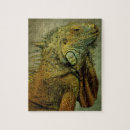 Search for green dragon puzzles Lizard