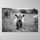 Recherche de écossais posters Noir