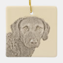 Search for chesapeake bay ornaments Chessie