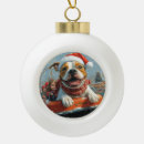 Search for carnival ornaments Fun