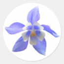 Search for columbine stickers Aquilegia