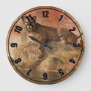 Search for mountain lion clocks Cougar