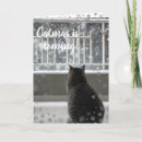 Search for tabby cat christmas cards Kitten